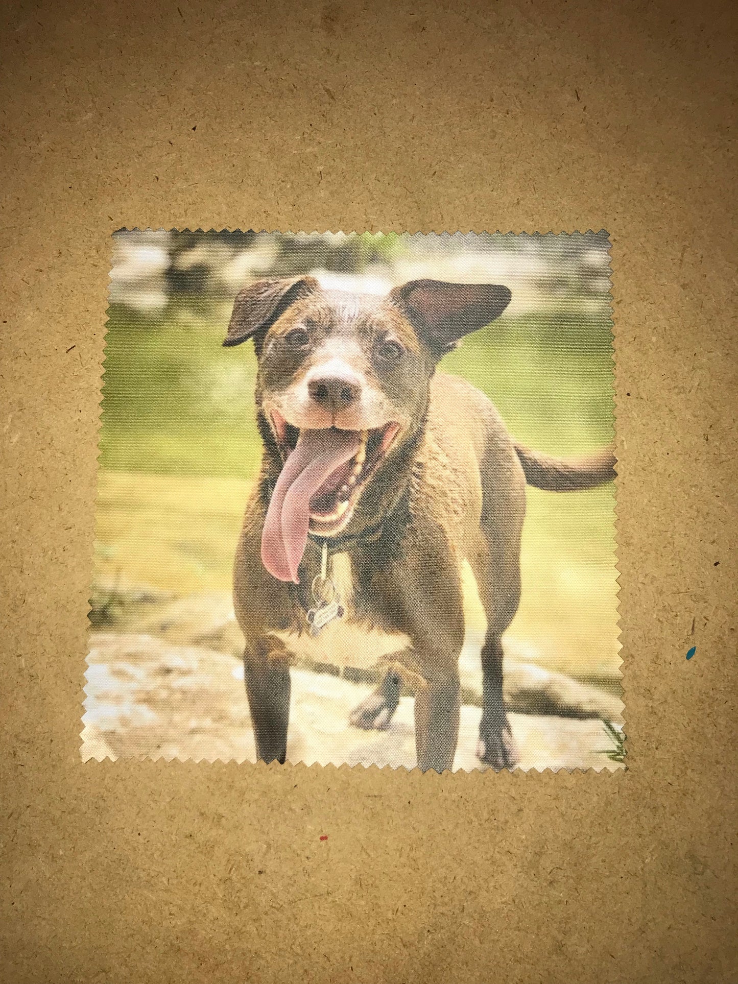 Custom printed lens cloth