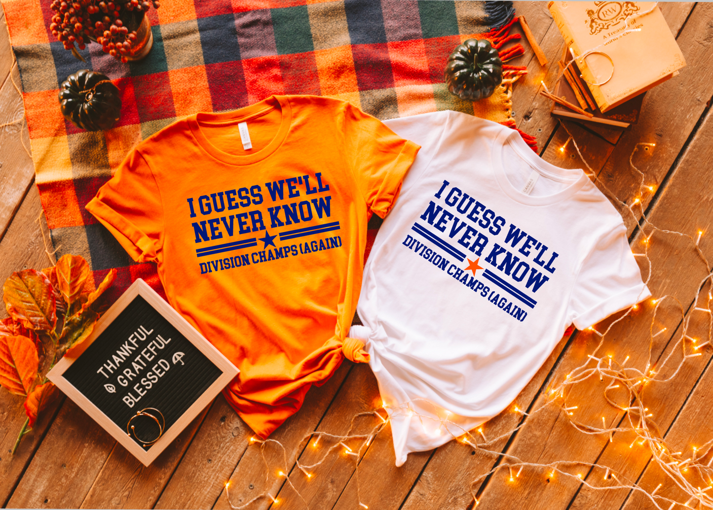 I Guess We'll Never Know Astros ALDS Champions || Printed Shirt